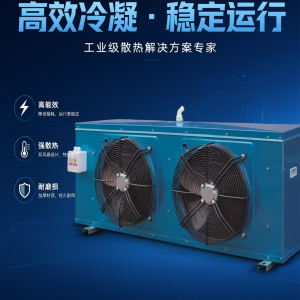 Condenser